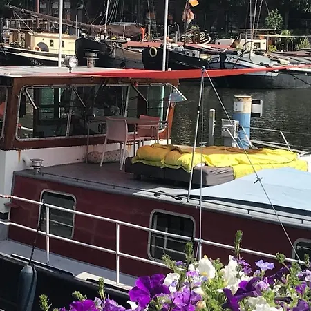 Chalet Spacious Homely House Boat